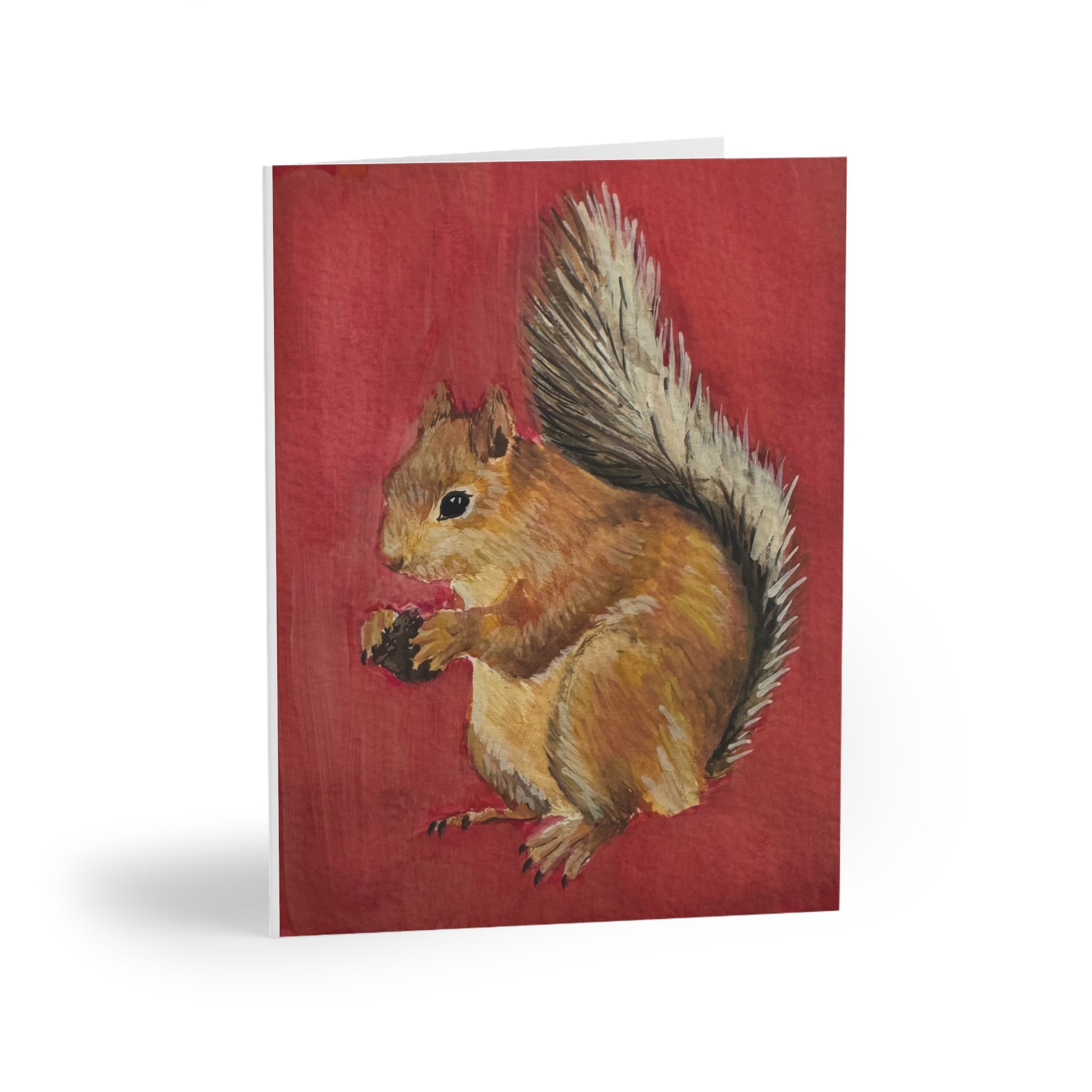 Ardilla Greeting Cards