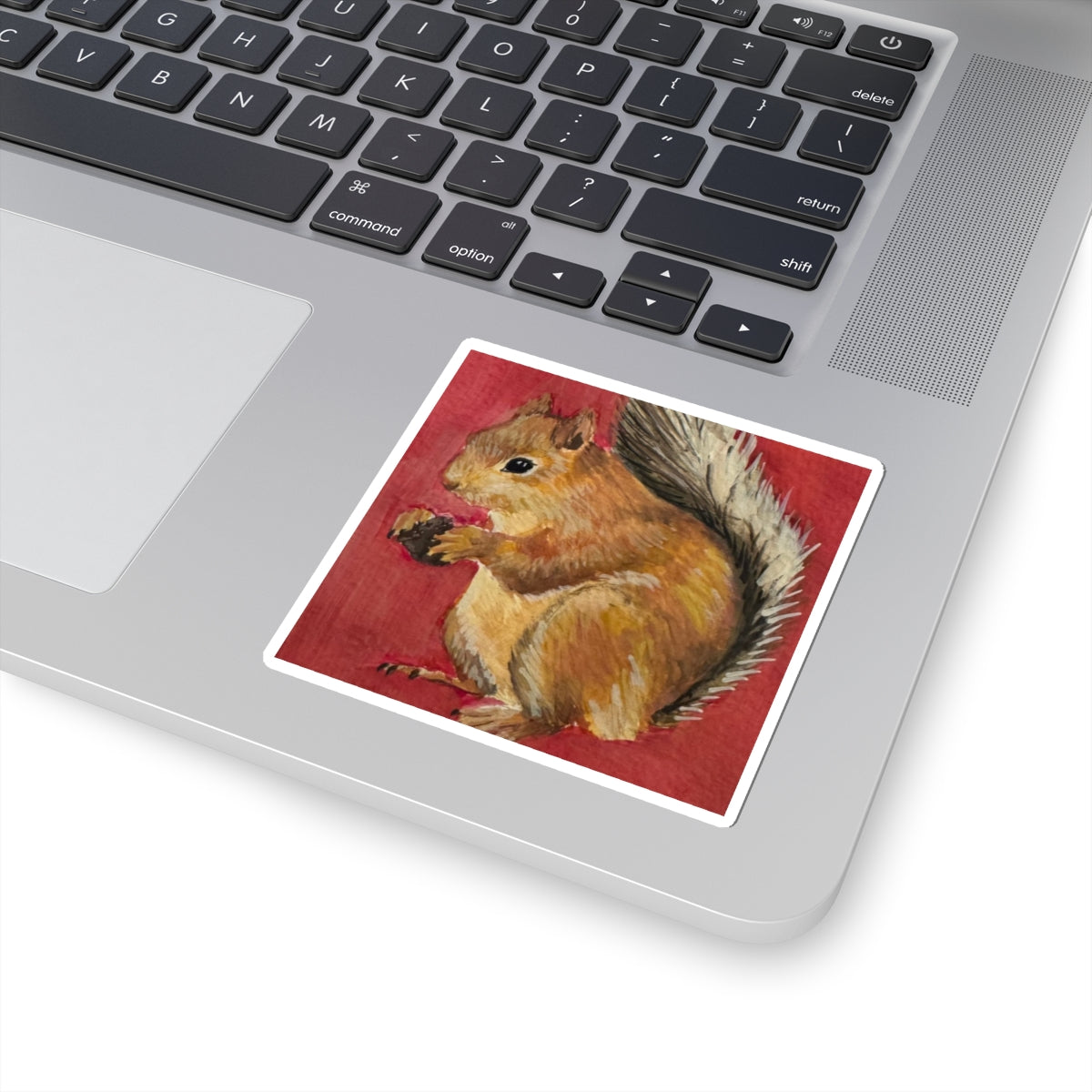 Squirrel Stickers