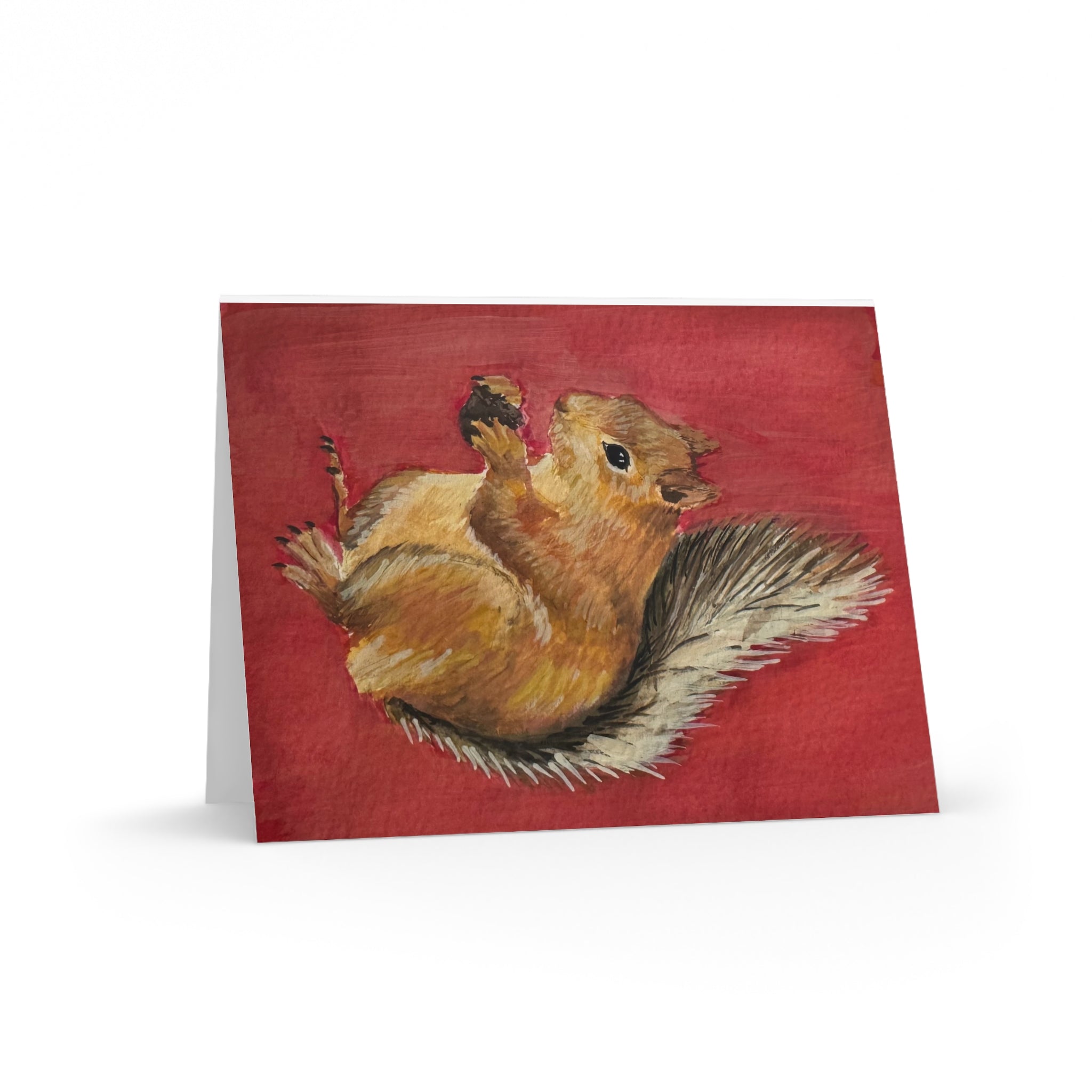 Ardilla Greeting Cards